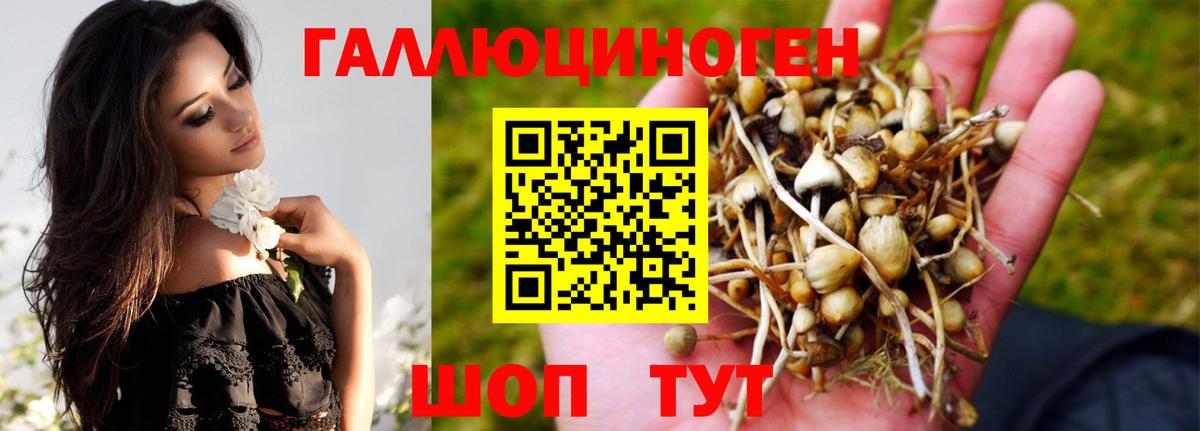 Галлюциногенные грибы мицелий Печора